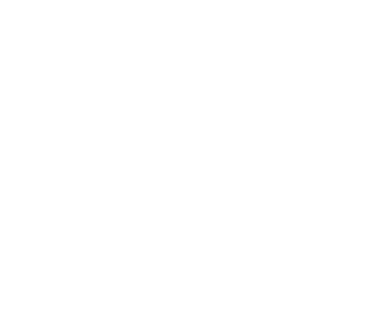 platinumairlogo_prev_ui